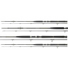 NA COD - rybolov-PRÚT DAIWA BG HRÁ 300/40-100g (NA COD - rybolov-PRÚT DAIWA BG HRÁ 300/40-100g)