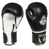 Boxerské rukavice ARB-407a DBX Bushido 8oz.