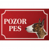 Bulteriér štandardný - Kovová tabuľka POZOR PES
