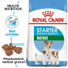 Royal Canin Mini Starter Mother&Babydog 1 kg