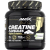 Amix Black Line Creatine Creapure 300 kapsúl