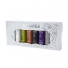 Tatratea 22%-72% 6 x 0,04 l (set)