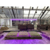 Lampa na pestovanie raslín - Grow LED 22W 120led IP65 PL lampa (Grow LED 22W 120led IP65 PL lampa)