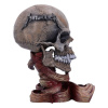 Nemesis Now Socha Metallica Pushead Skull 24 cm