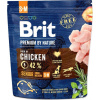 Brit Premium Dog by Nature Senior S+M 1 kg