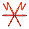 FIA FHR 6 point safety belts MOMO PRO DRIVER 3
