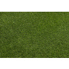 Najkoberce Umelá tráva WOODLAND rolka 100 cm