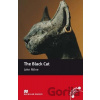 Macmillan Readers Elementary: The Black Cat - John Milne