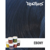 Directions Barva Ebony 88ml