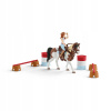 Schleich Horse Club 42441 Hannahs Western riding set