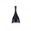 Závesné svietidlo Ideal lux 012919 OLIMPIA SP1 NERO 1xE27 60W
