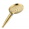 Hansgrohe Raindance sprchová hlavica zlatá 26531990