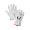 Canis CXS Rukavice BONO 310000600009 9