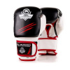 Boxerské rukavice DBX BUSHIDO DBD-B-2 v3 veľ. 12 oz.