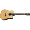 TANGLEWOOD TW1000 H SRCE