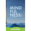 E-kniha Mindfulness: Co vám ještě neřekli - František Lomský