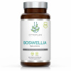 Cytoplan Boswellia kĺbová výživa 400 mg 60 vegan kapsúl