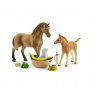 Schleich 42432 Set žriebä a Quarter kôň so šteniatkom a doplnkami
