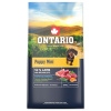 Ontario Puppy Mini Lamb & Brown Rice 6,5kg dárek Ontario pochoutka 70g
