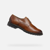 Brown men's formal shoes Geox Walk Pleasure - Men hnedá 40 GEOX 8058192308208