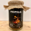 PROPOLISOVÝ VČELÍ KIT 100 G