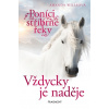 Poníci od stříbrné řeky: Vždycky je naděje - Amanda Wills