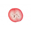 Vlna Hep ACORUS Farba: Acorus / 9309