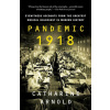 Pandemic 1918: Eyewitness Accounts from the Greatest Medical Holocaust in Modern History (Brožovaná)