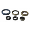 Athena tesniace prvky motora Athena P400270400013