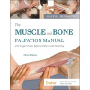 The Muscle and Bone Palpation Manual with Trigger Points, Referral Patterns and Stretching (Muscolino Joseph E.)