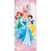 Dverová fototapeta - DV0254 - Walt Disney princezny 91cm x 211cm - Vliesová fototapeta
