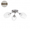 Stropní svítidlo DOMOLETTI CL17061-3, 3 × 60 W, E27