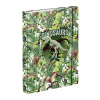 BAAGL A-31739 Dinosaurus, box na zošity A5, s gumičkou