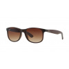 Ray-Ban RB4202 ANDY 607313