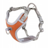 Hurtta Venture No-Pull Buckthorn postroj pre psa s predným zapínaním 80-100