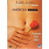 Americká krása - plast DVD