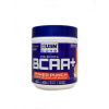 USN BCAA POWER 400 g