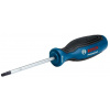 BOSCH Skrutkovač TX25x100 1600A01V0D