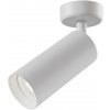 Maytoni Focus stropné svietidlo 1x50 W biela C017CW-01W