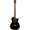 Fender CB-60SCE