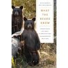 What the Bears Know - Chris Erskine, Steve Searles
