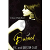 Kristin Cast - Burned