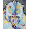 Maľovanie podľa čísel Farebná opica, 40x50 cm, vypnuté plátno na rám (6043741)