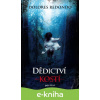 E-kniha Dědictví kostí - Dolores Redondo