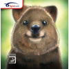 Poťah SpinLord Quokka Vyberte FARBU poťahu: červený / RED, Vyberte HRÚBKU špongie: 1,8 mm