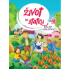 Život na statku