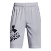 Under Armour Prototype 2.0 Logo Shorts