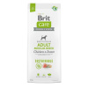 Brit Care Dog Sustainable Adult Medium Breed 12 kg (Brit Care Dog Sustainable Adult Medium Breed 12 kg)
