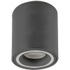 Rabalux Kobald stropné svietidlo 1x25 W sivá 71161
