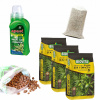 Záhradná pôda - Palma Palma Juka Dracaena Kit (Palma Palma Juka Dracaena Kit)